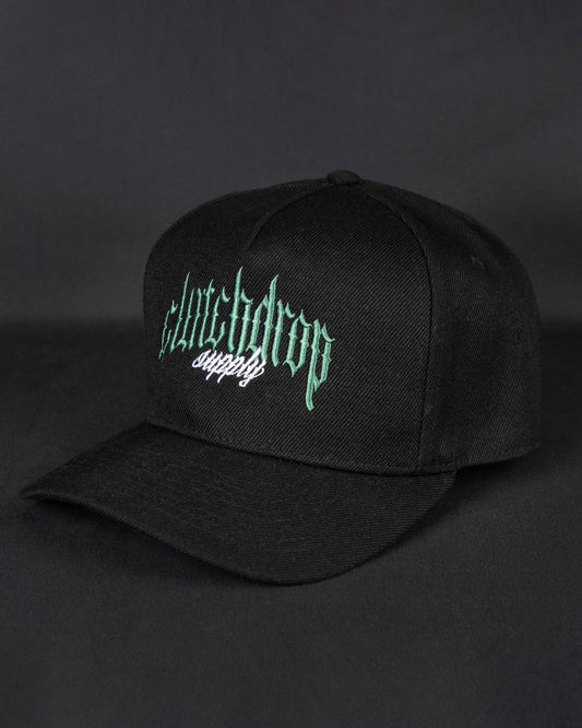 Logo snapback
